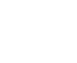 LOGO_NUAD-BORAN-simple_Blanc-transparent